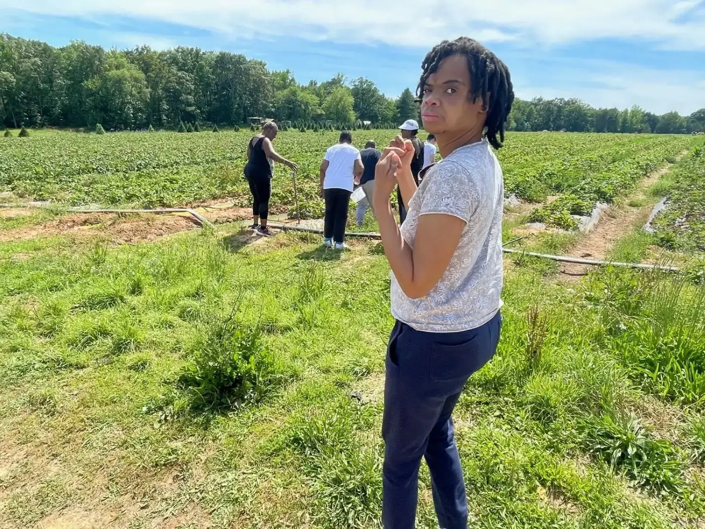 Person in field watching others harvest crops