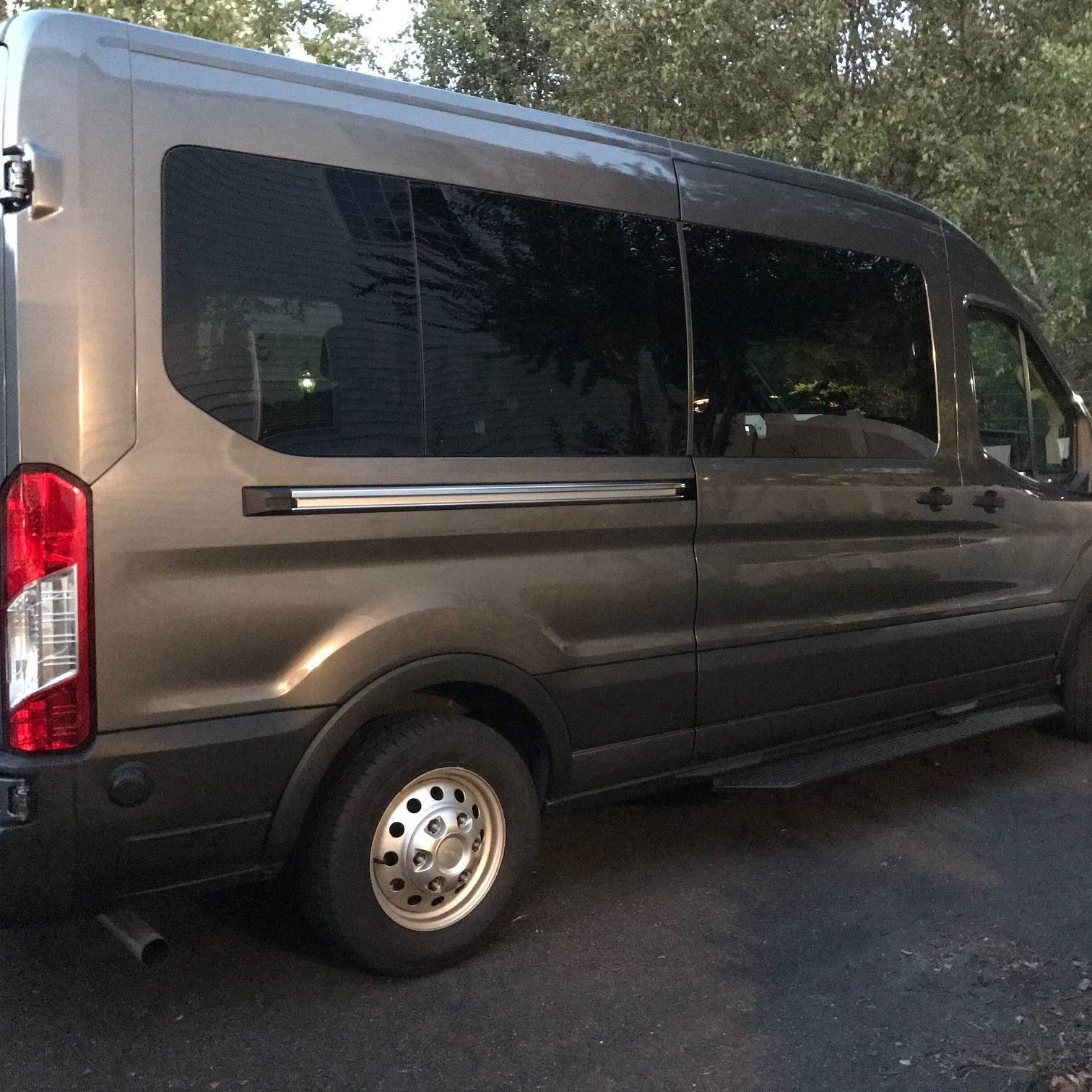 A gray passenger van parked on a paved road surrounded by trees.