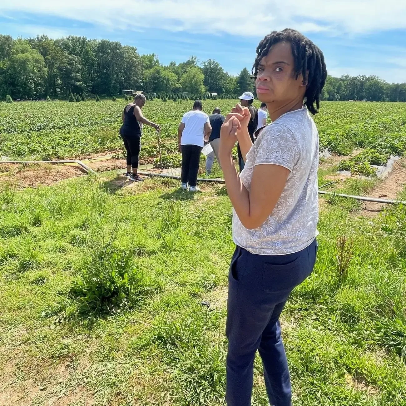 Person standing in field while others harvest